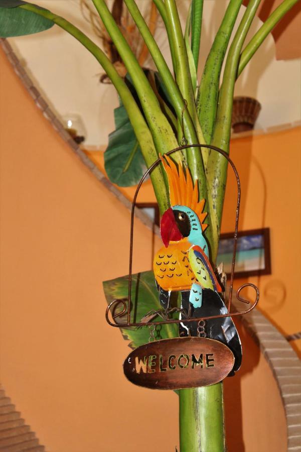 Antigua Bed & Breakfast *